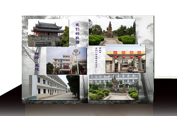 内页7